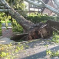 How much damage does a tree do to a house?
