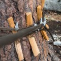 Diy Guide To Tree Cabling And Bracing