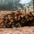 Why is it important to stop cutting down trees?