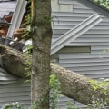 How do you tell if a tree will hit your house?
