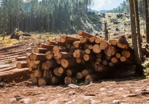 Why is it important to stop cutting down trees?