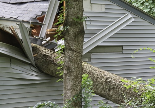 How do you tell if a tree will hit your house?